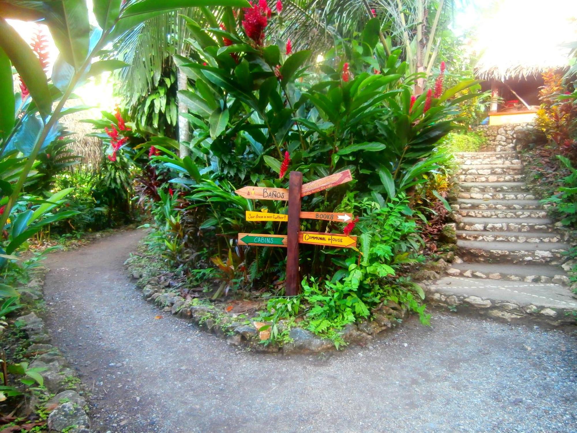 Hotel El Hotelito Perdido